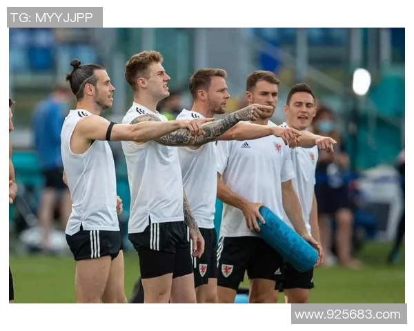 墨西哥与威尔士比赛分析及胜负推荐，助你精准预测结果