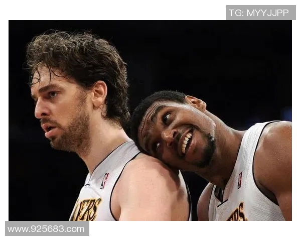 湖人火箭对决赛程及比分分析全景回顾 湖人火箭对决赛程及比分分析全景回顾