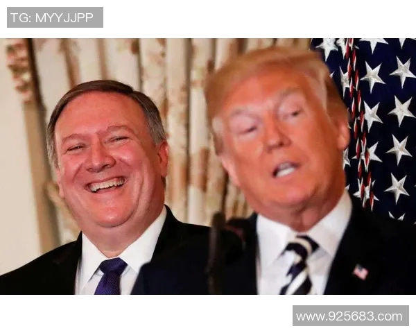 赖斯的外交策略与全球影响力分析及其在国际关系中的重要角色 赖斯的外交策略与全球影响力分析及其在国际关系中的重要角色