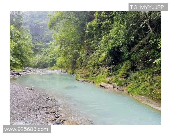 重庆攀岩队的节奏得失分析与未来发展展望 重庆攀岩队的节奏得失分析与未来发展展望