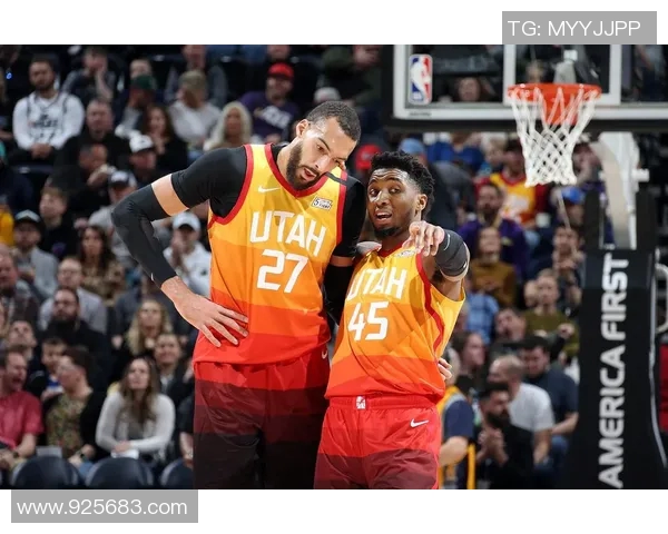 字母哥与戈贝尔的巅峰对决谁能在NBA赛场上笑到最后